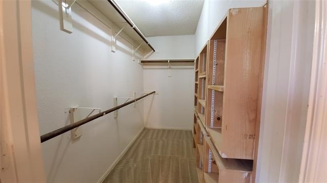 3808 Aloe Drive - Photo 15