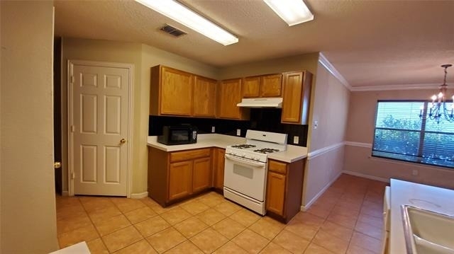 3808 Aloe Drive - Photo 12
