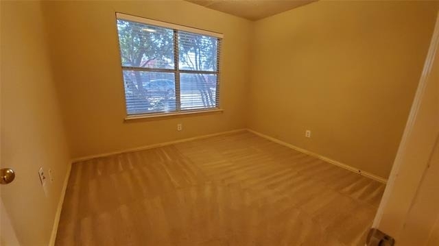 3808 Aloe Drive - Photo 8
