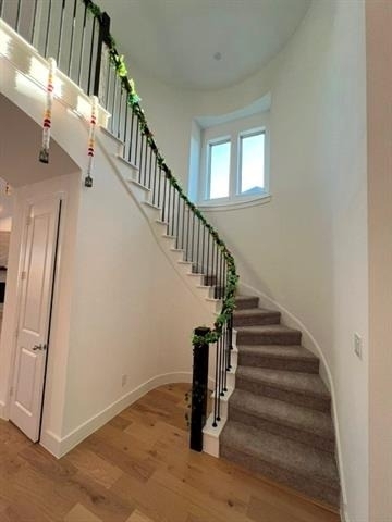 1407 Cartona Road - Photo 8