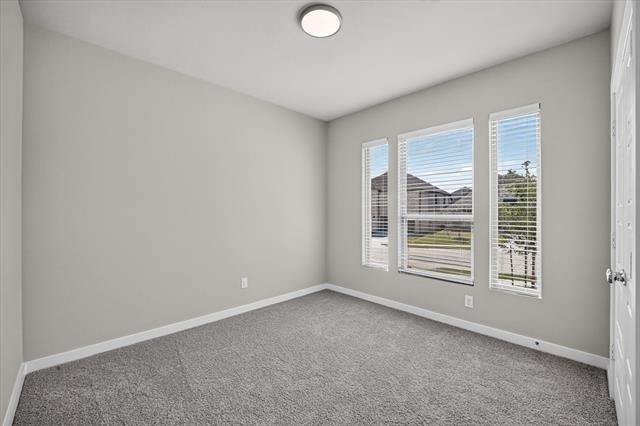 710 Summerberry Drive - Photo 6