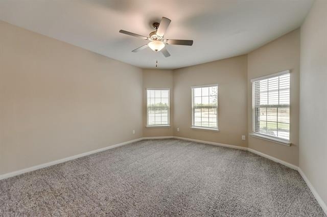 309 Sweet Pea Lane - Photo 8