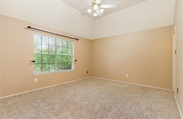 3108 Palmtree Drive - Photo 22