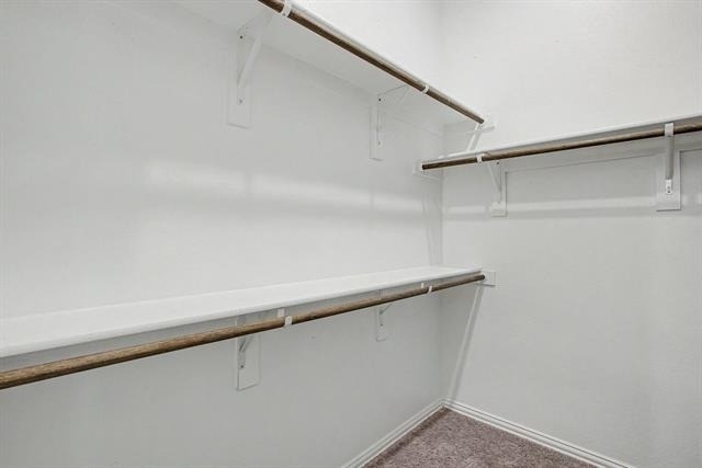 1004 Deer Ridge Drive - Photo 19