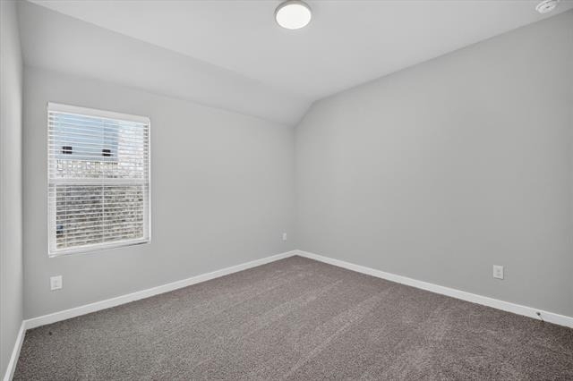 709 Summerberry Drive - Photo 13