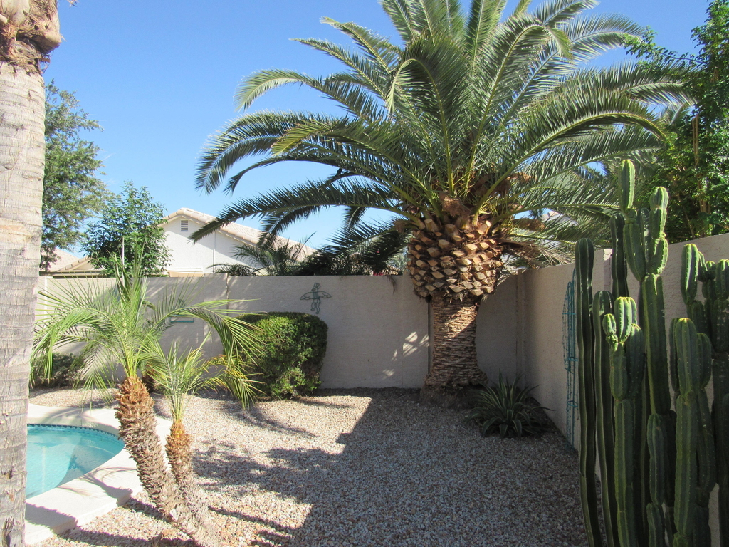 853 E Constitution Drive - Photo 27
