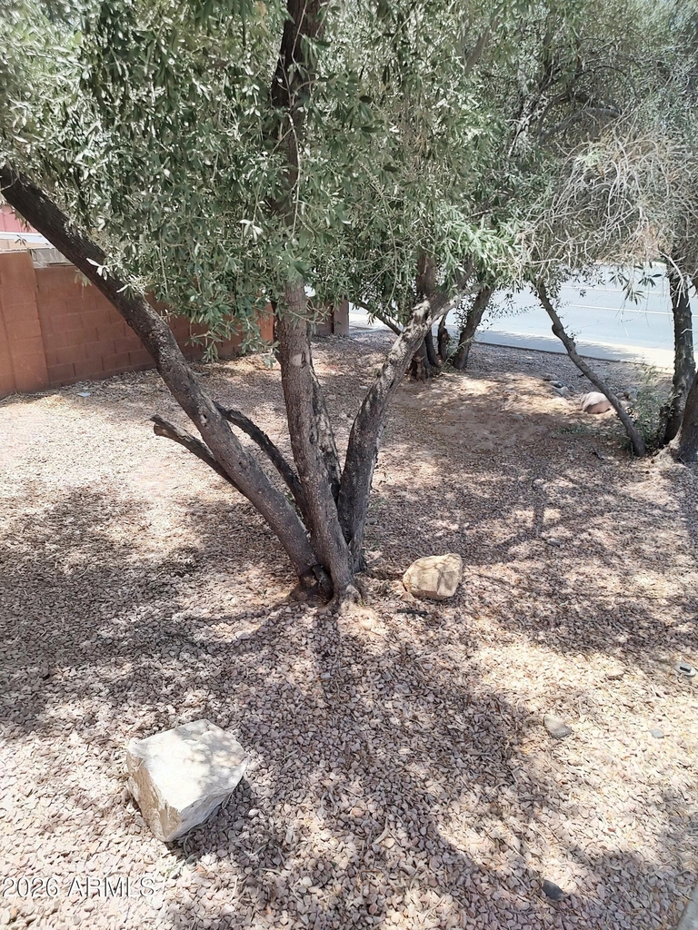 317 S Stapley Drive - Photo 36
