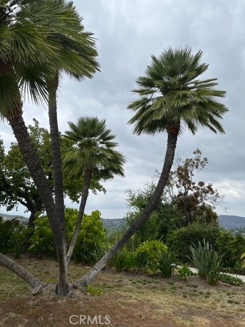 2109 Hillsbury Road - Photo 6