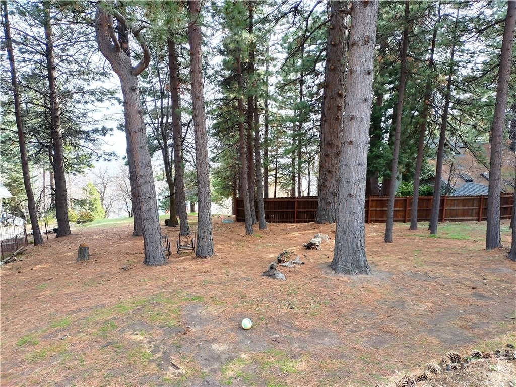 31083 All View Drive - Photo 9