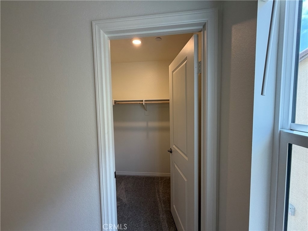 9707 Babaco Street - Photo 33