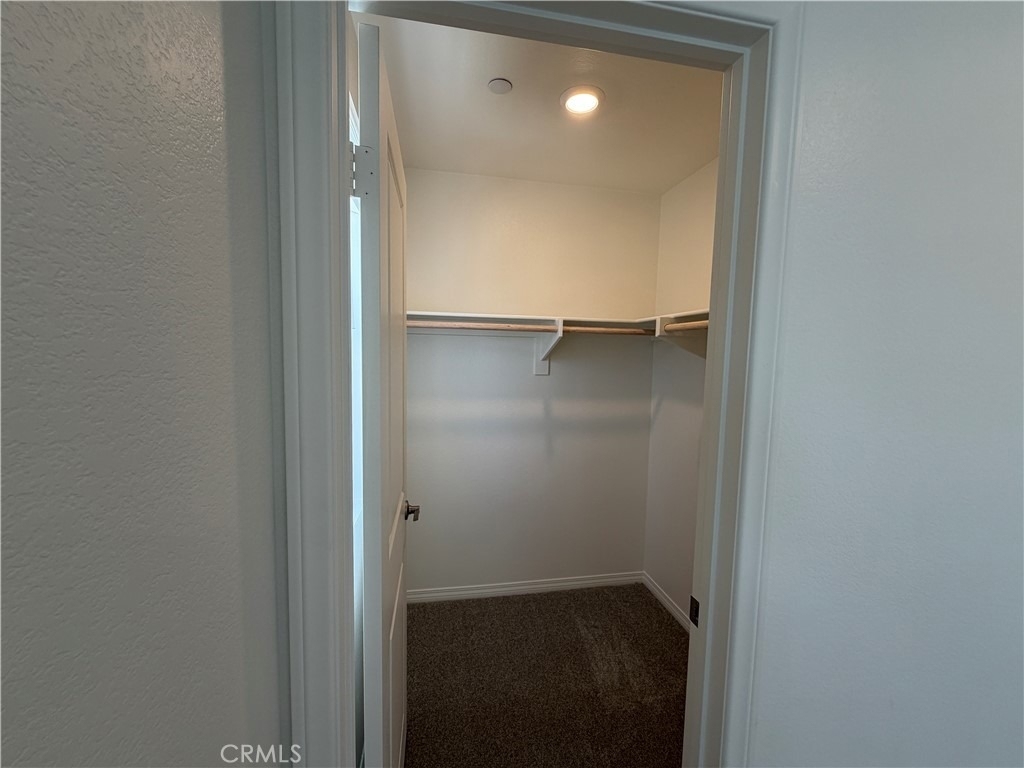 9707 Babaco Street - Photo 35