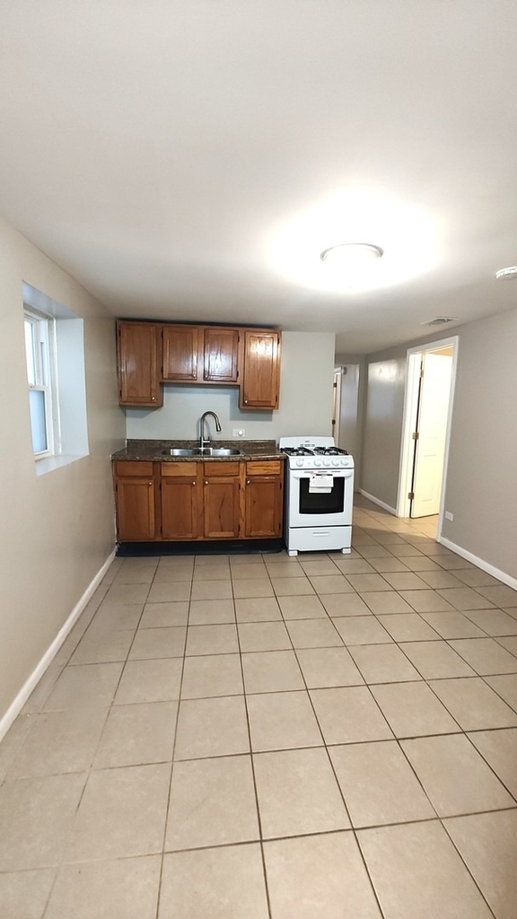 3643 S Hermitage Avenue - Photo 4