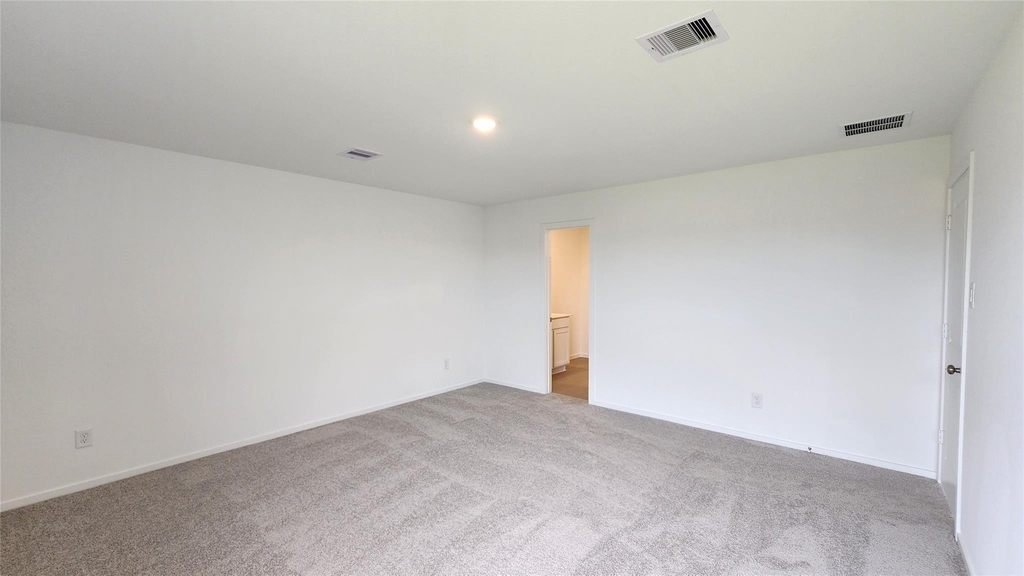 29018 Rustic Windmill Way - Photo 11