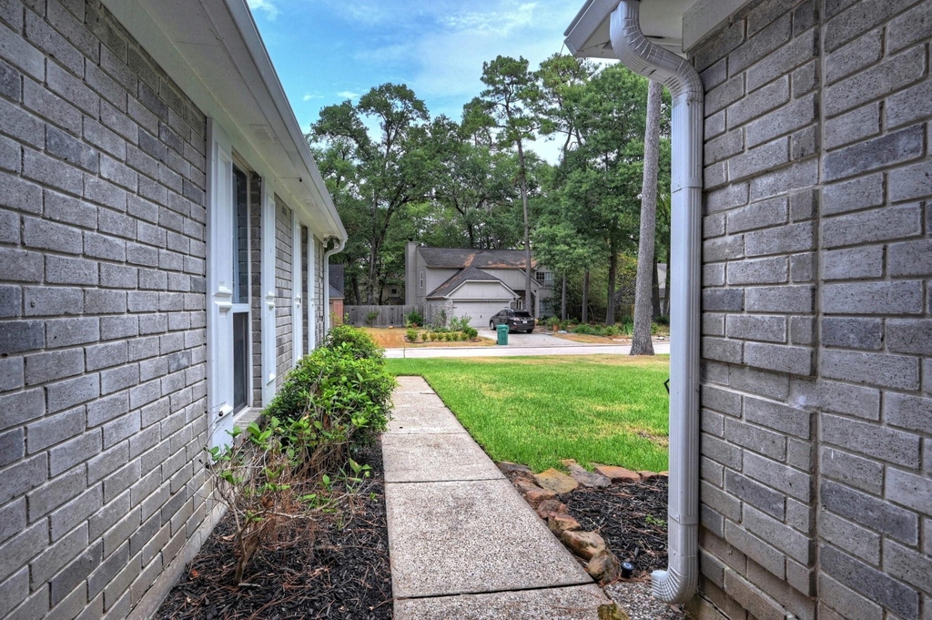 15 White Bark - Photo 41