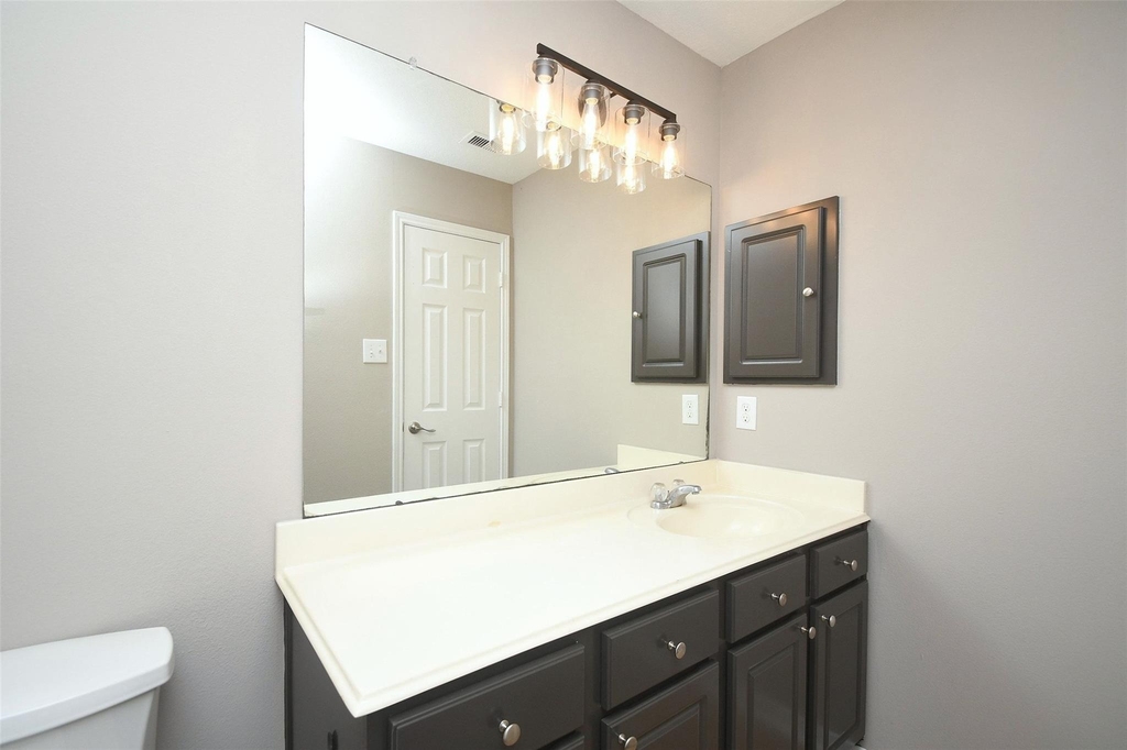 4915 Ibis Lake Court - Photo 12