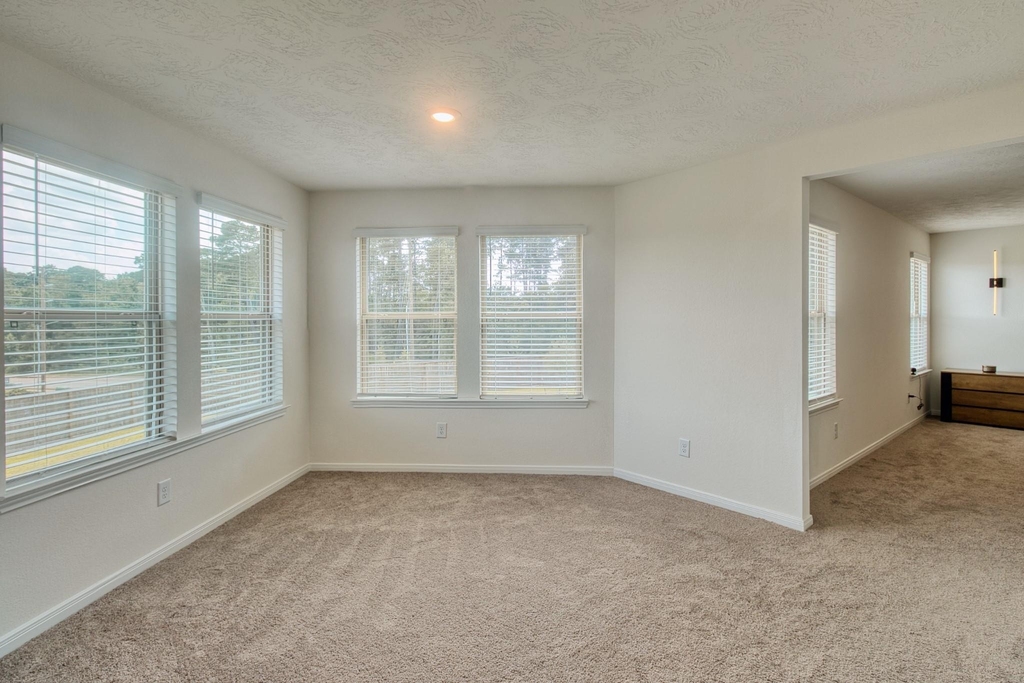 3539 Sage Green Trail - Photo 25