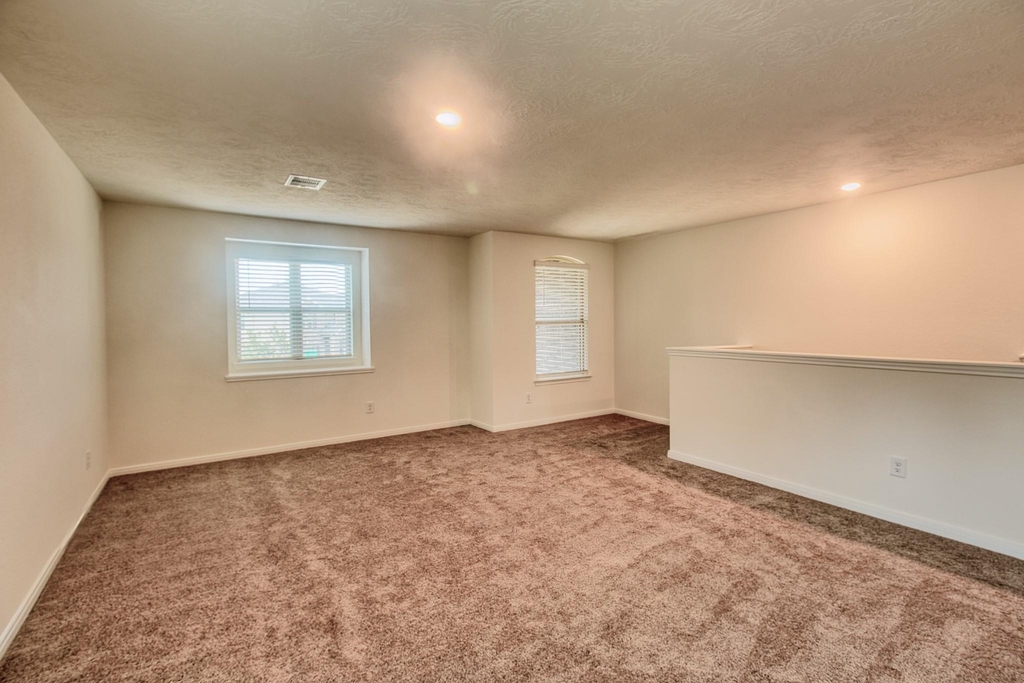 3539 Sage Green Trail - Photo 17