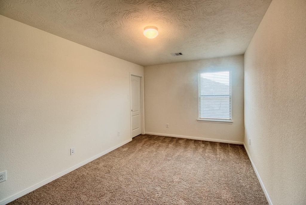3539 Sage Green Trail - Photo 29