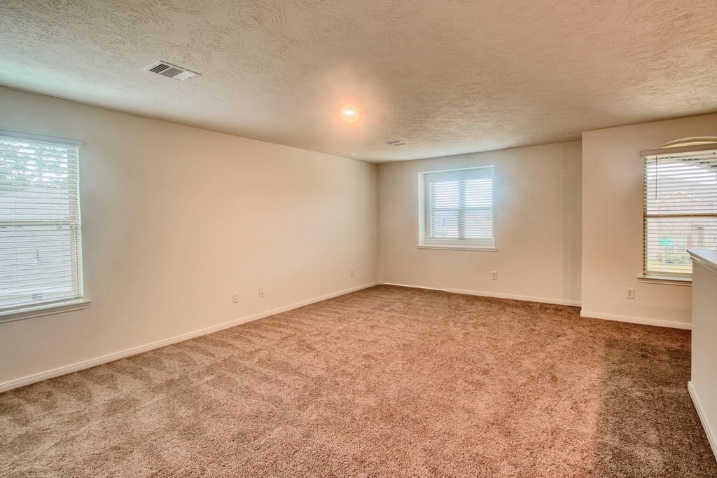 3539 Sage Green Trail - Photo 18