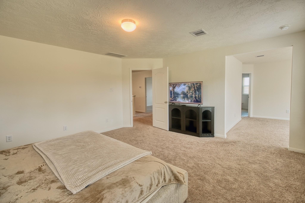 3539 Sage Green Trail - Photo 37