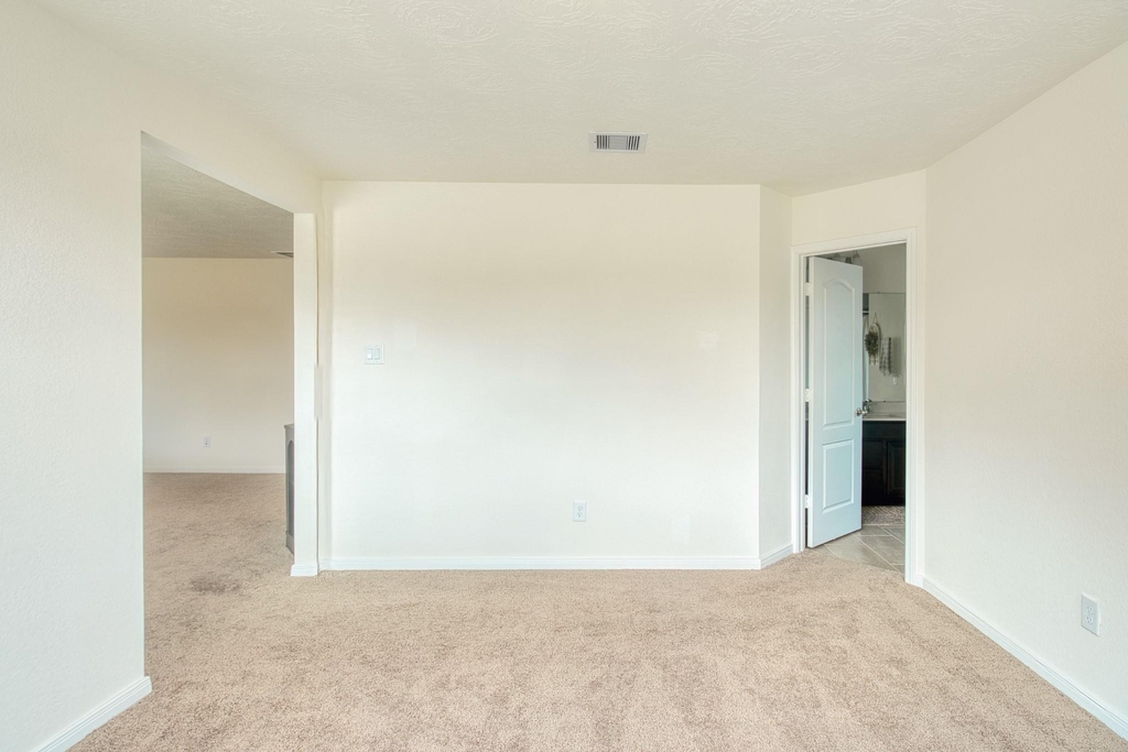 3539 Sage Green Trail - Photo 24