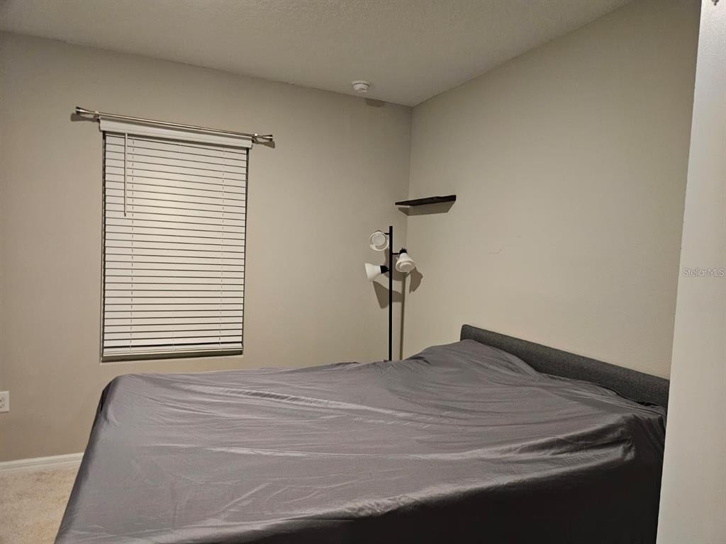 32650 Osprey Peak Way - Photo 14