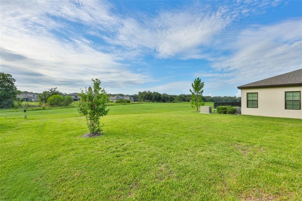 14661 Horse Trot Road - Photo 31