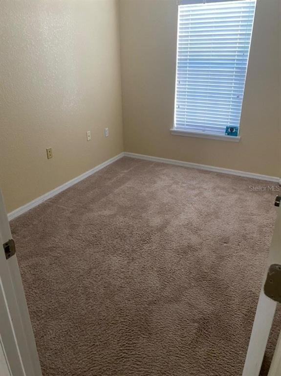 16314 Worchester Palms Court - Photo 9