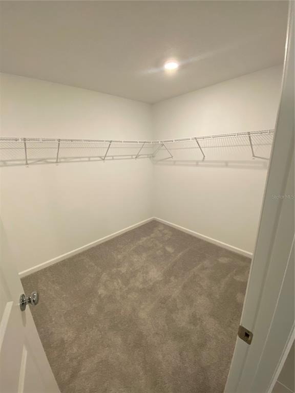 2125 Lasso Loop - Photo 19