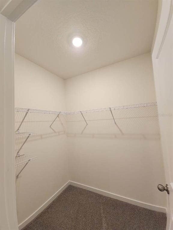3371 Chroma Street - Photo 16