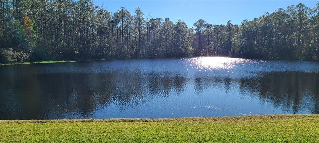 1224 Siesta Key Circle - Photo 24