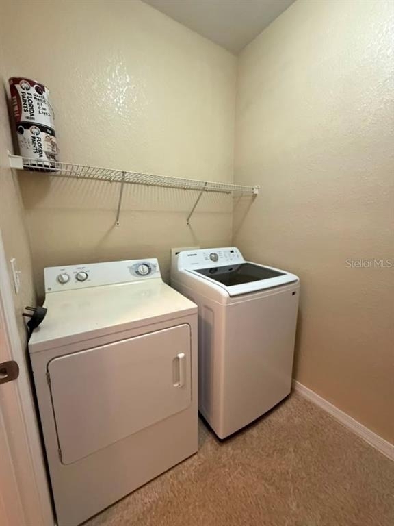 8103 Lillies Way - Photo 13