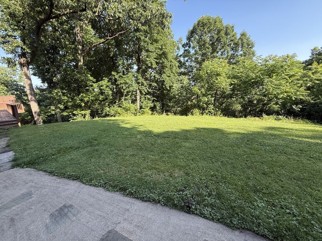 231 Fairview Road - Photo 27