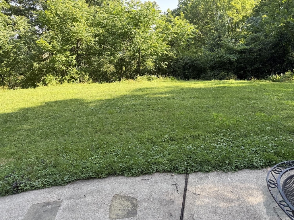 231 Fairview Road - Photo 26