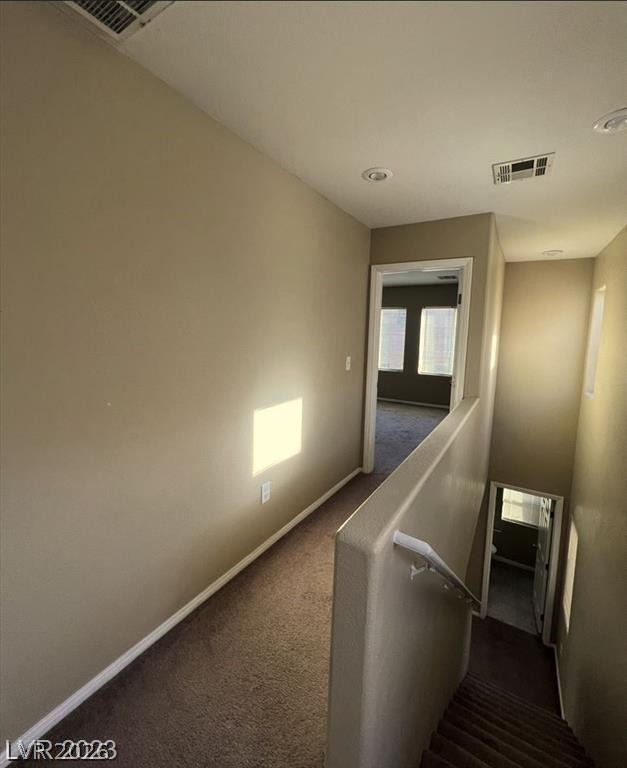 10629 Yarrow Root Court - Photo 13