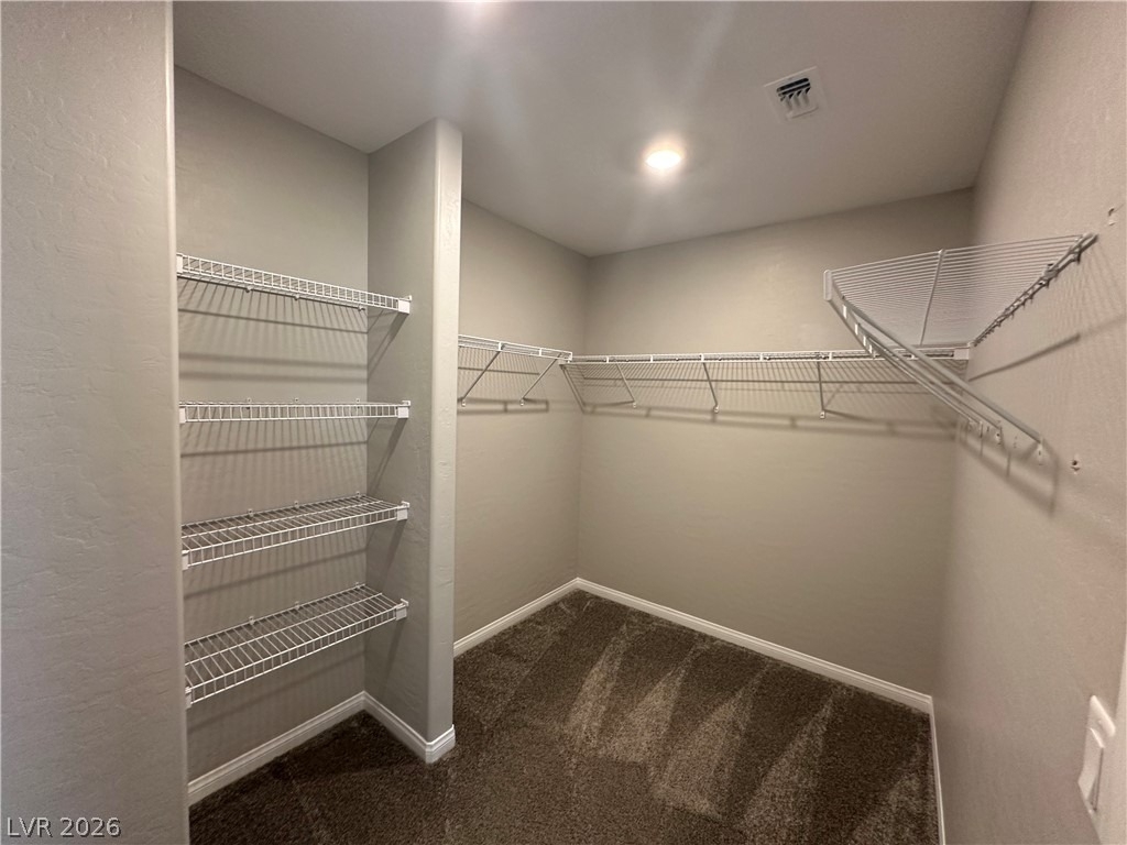 349 Wind Poppy Street - Photo 10