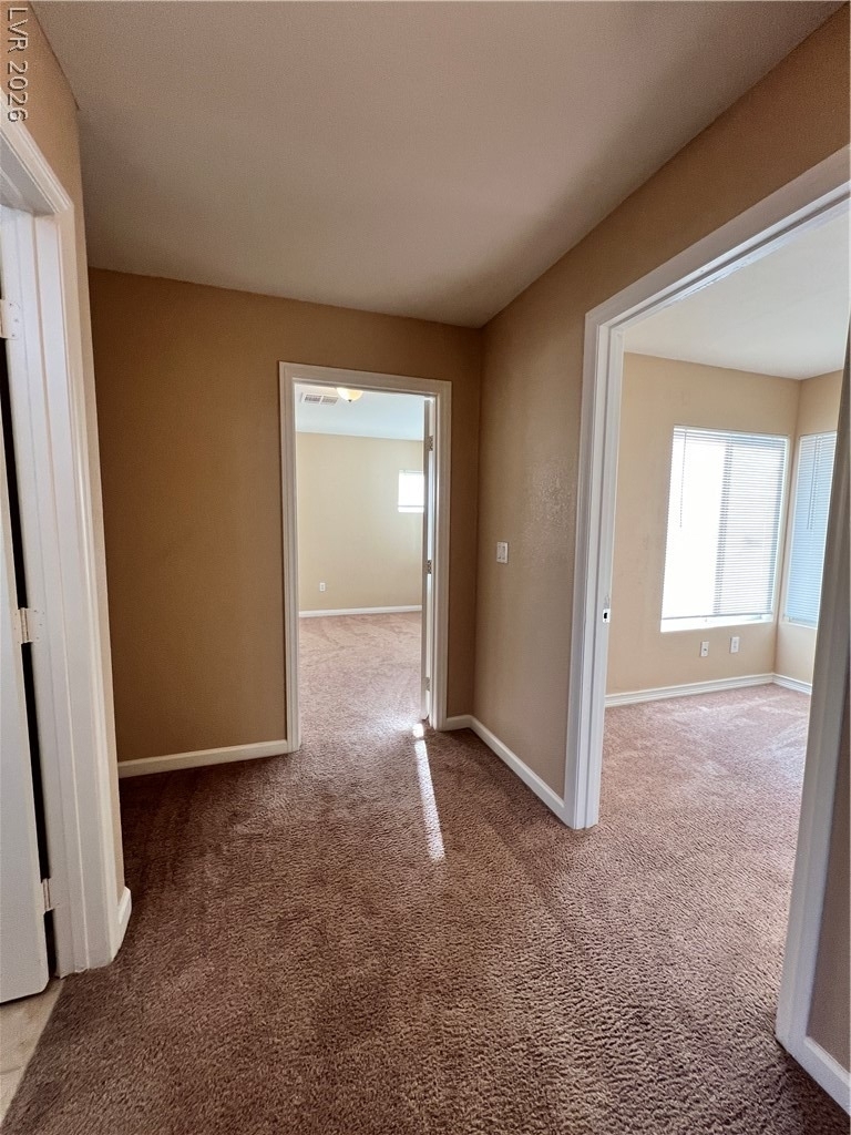 8237 Golden Flowers Street - Photo 18