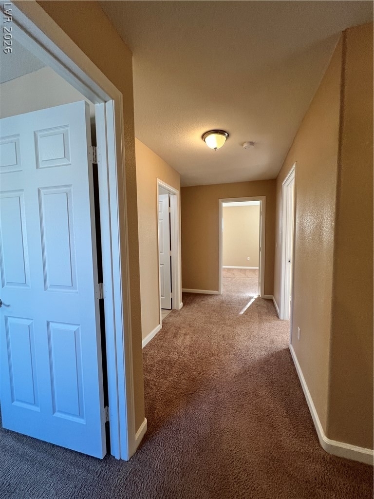 8237 Golden Flowers Street - Photo 16