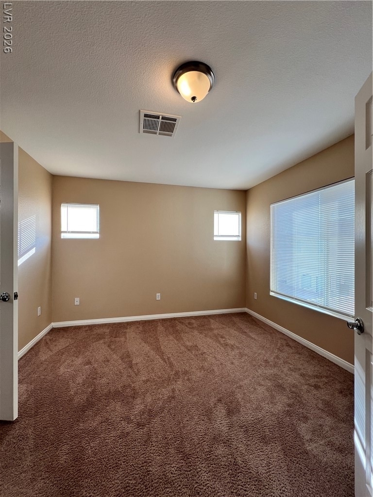 8237 Golden Flowers Street - Photo 21