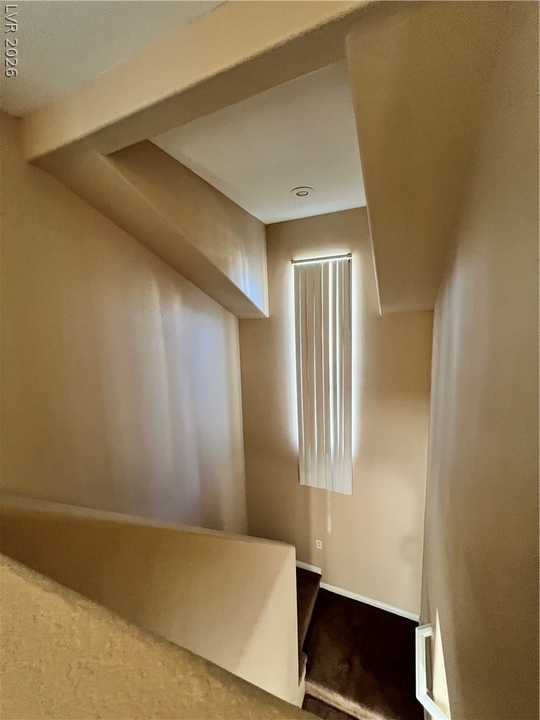 8237 Golden Flowers Street - Photo 14