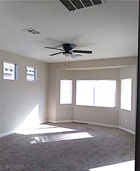 4891 Pacini Court - Photo 8