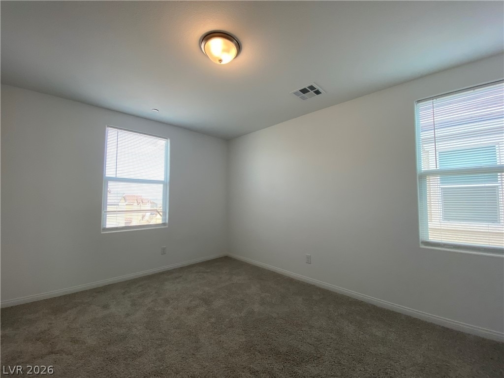 436 Cadence View Way - Photo 9