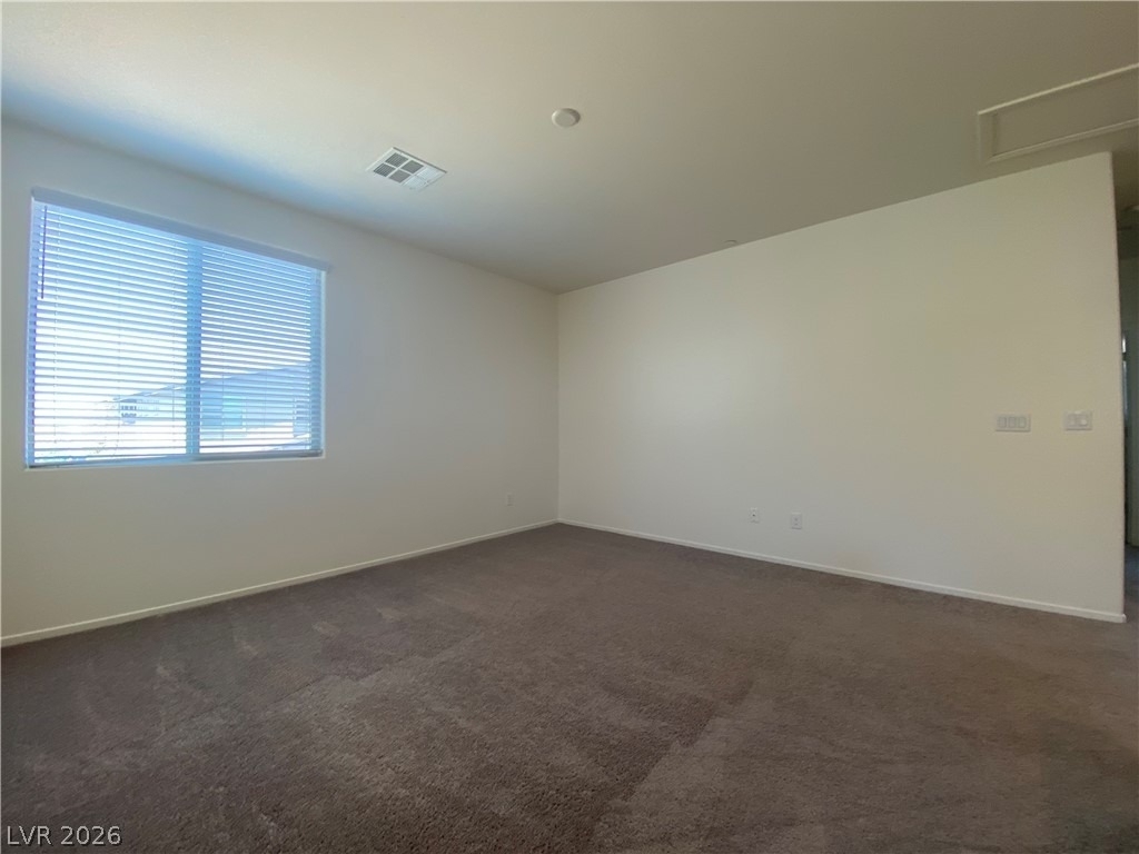 436 Cadence View Way - Photo 14