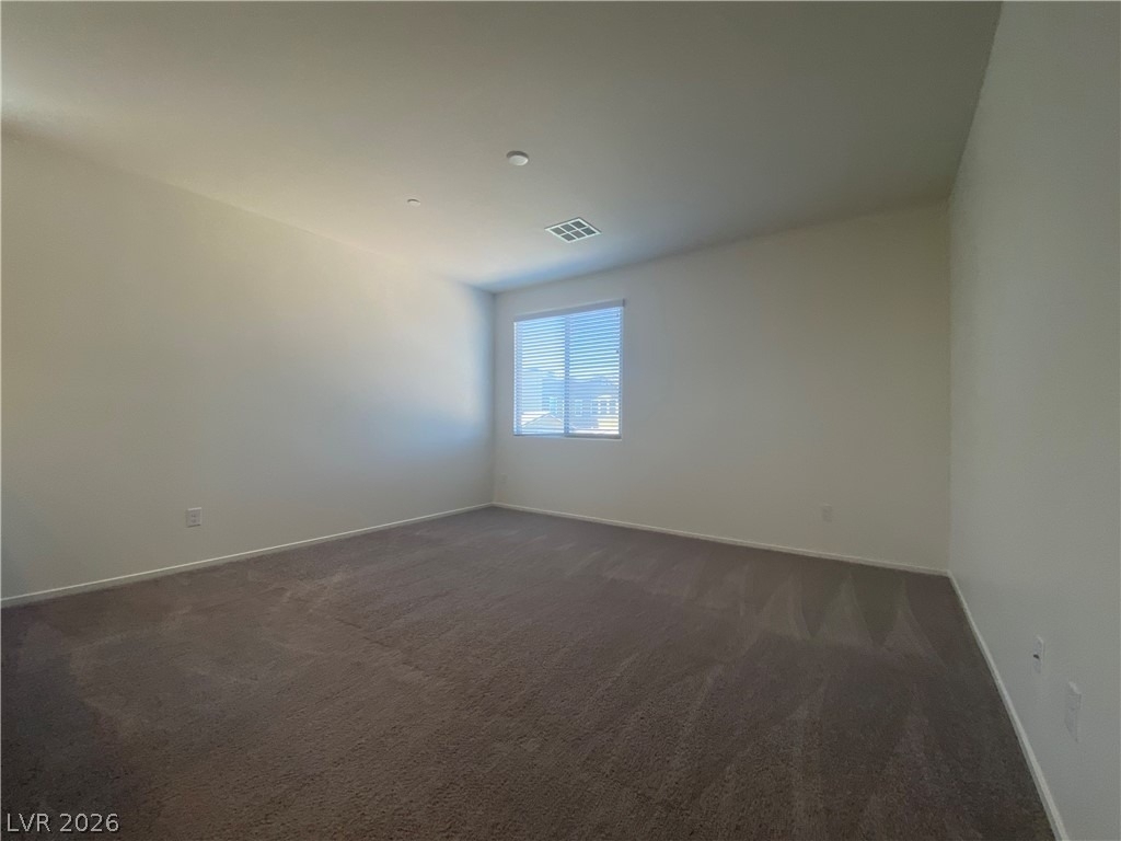 436 Cadence View Way - Photo 13