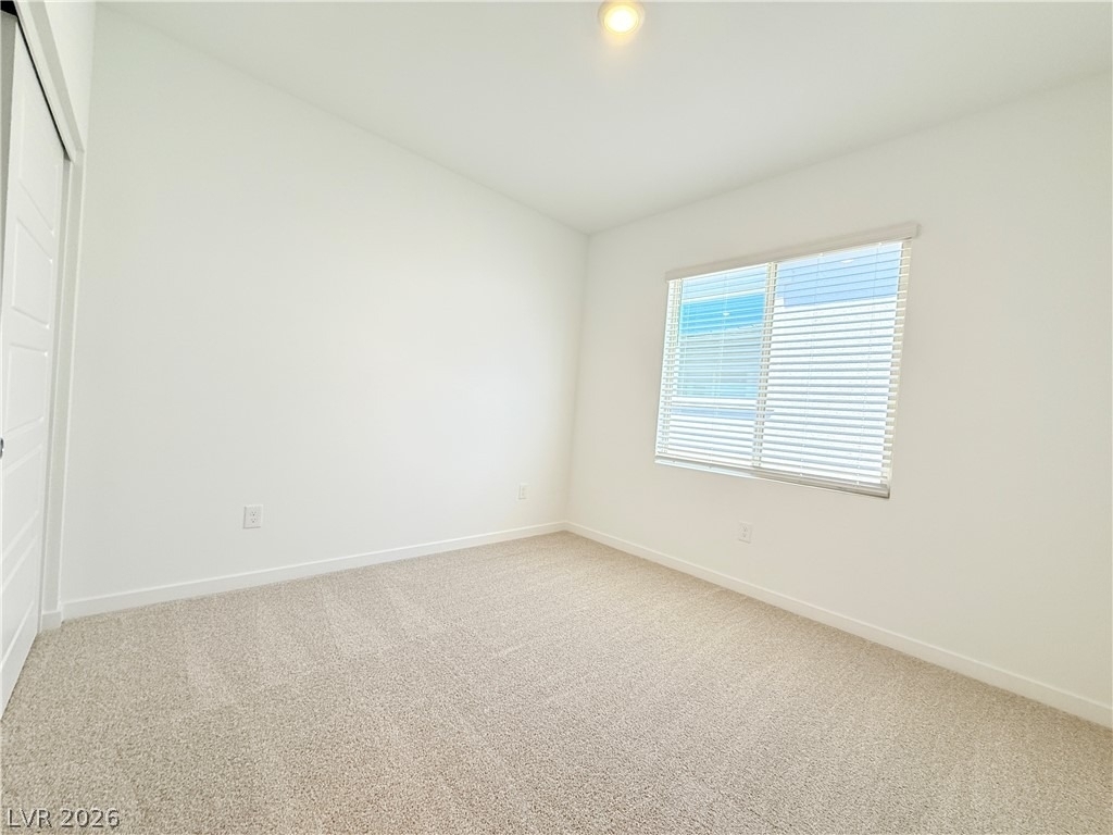 1450 Great Snipe Avenue - Photo 22