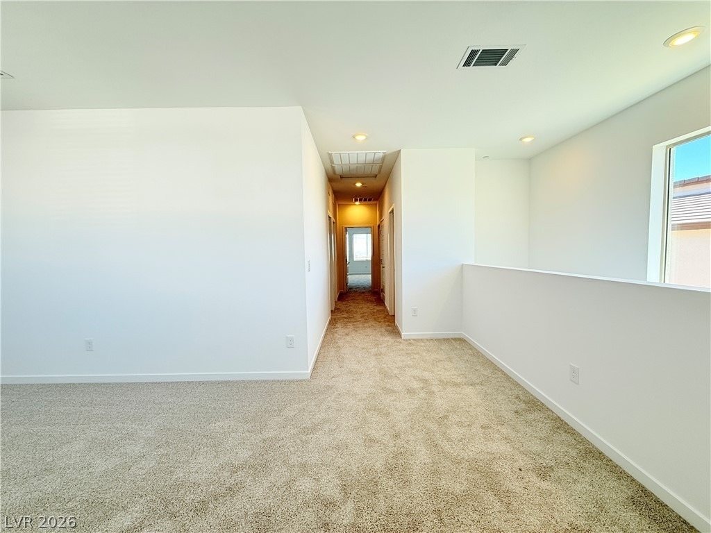1450 Great Snipe Avenue - Photo 21