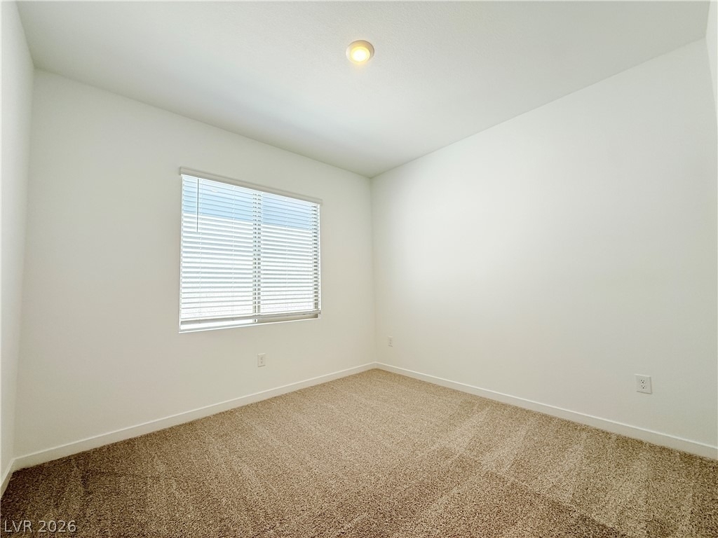 1450 Great Snipe Avenue - Photo 23