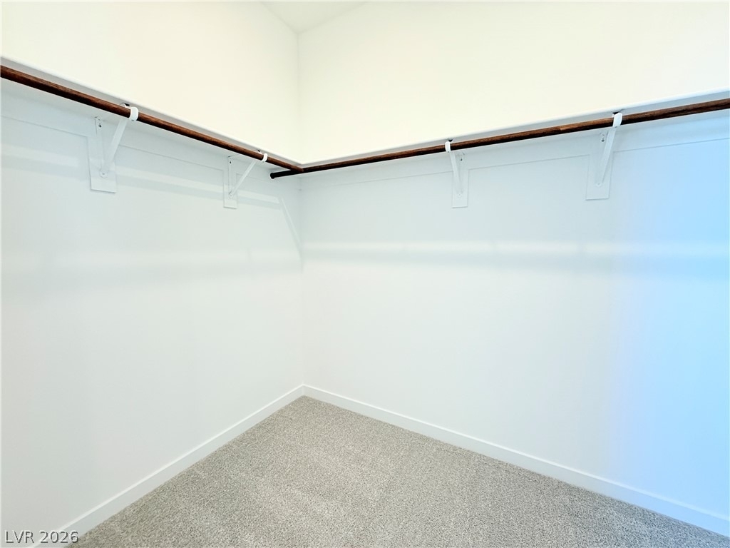 1450 Great Snipe Avenue - Photo 14