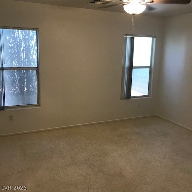 3955 Coyote Brush - Photo 7