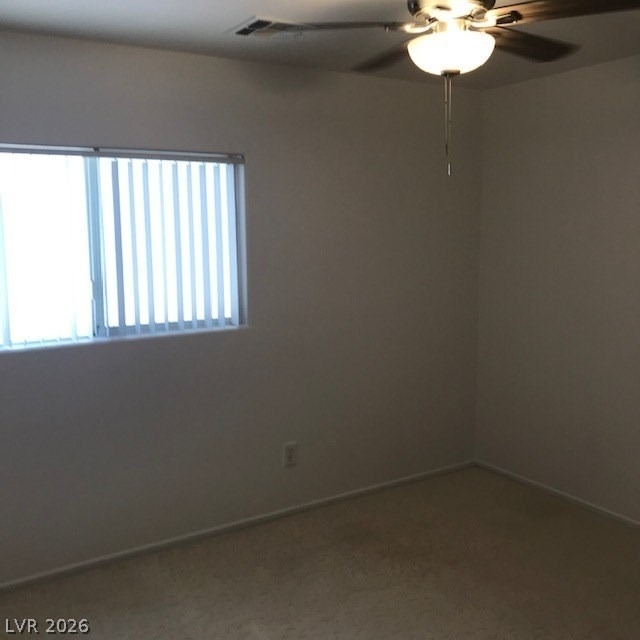 3955 Coyote Brush - Photo 10